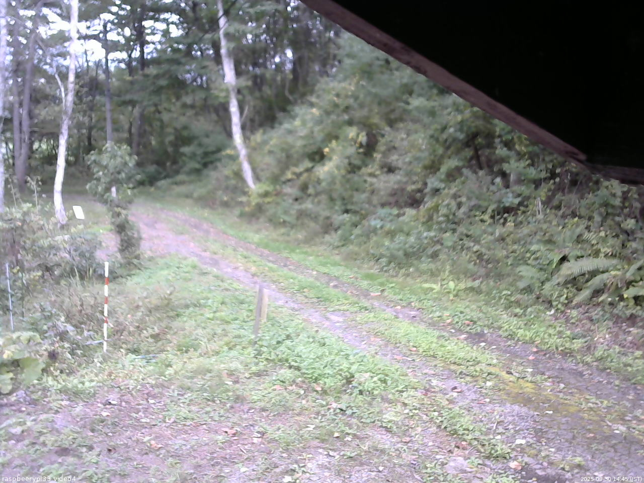 長野県菅平高原 ゆたか山荘 東側(坂下) 2025/09/30 14:45