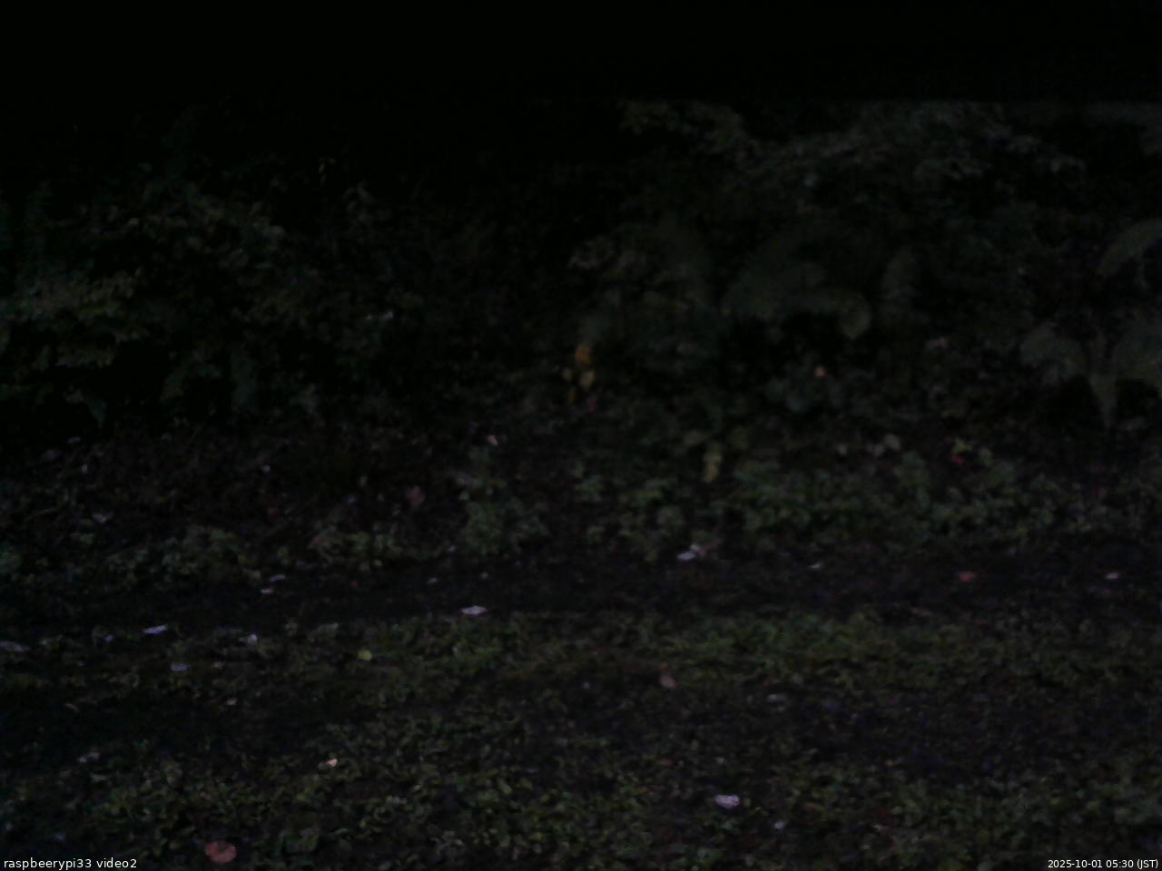 長野県菅平高原 ゆたか山荘 南側 2025/10/01 05:30