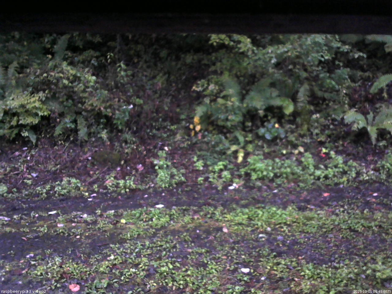 長野県菅平高原 ゆたか山荘 南側 2025/10/01 05:45