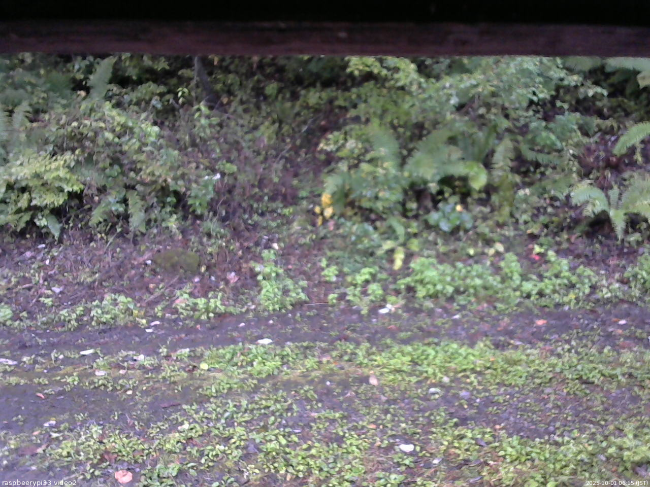 長野県菅平高原 ゆたか山荘 南側 2025/10/01 06:15
