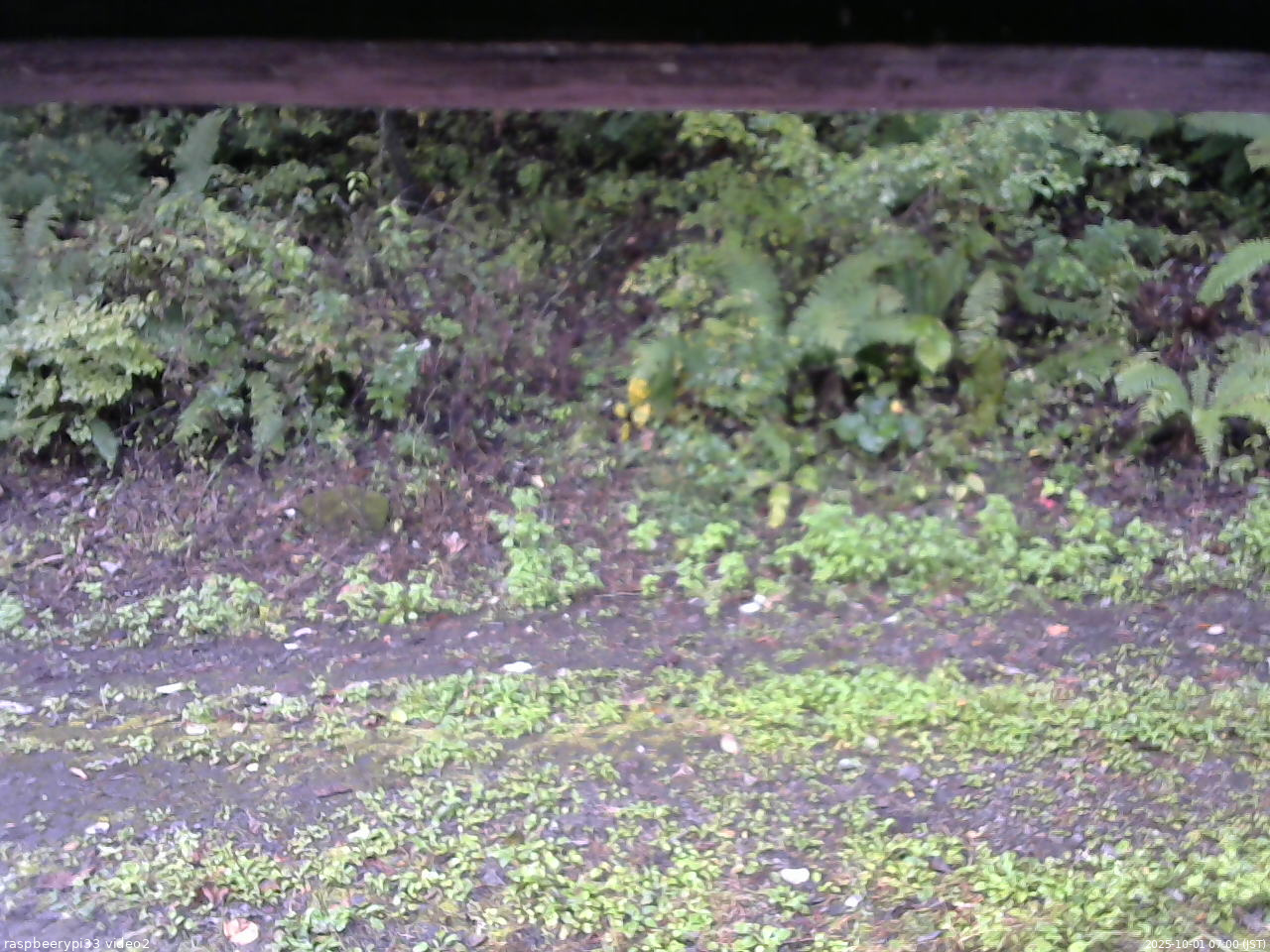 長野県菅平高原 ゆたか山荘 南側 2025/10/01 07:00