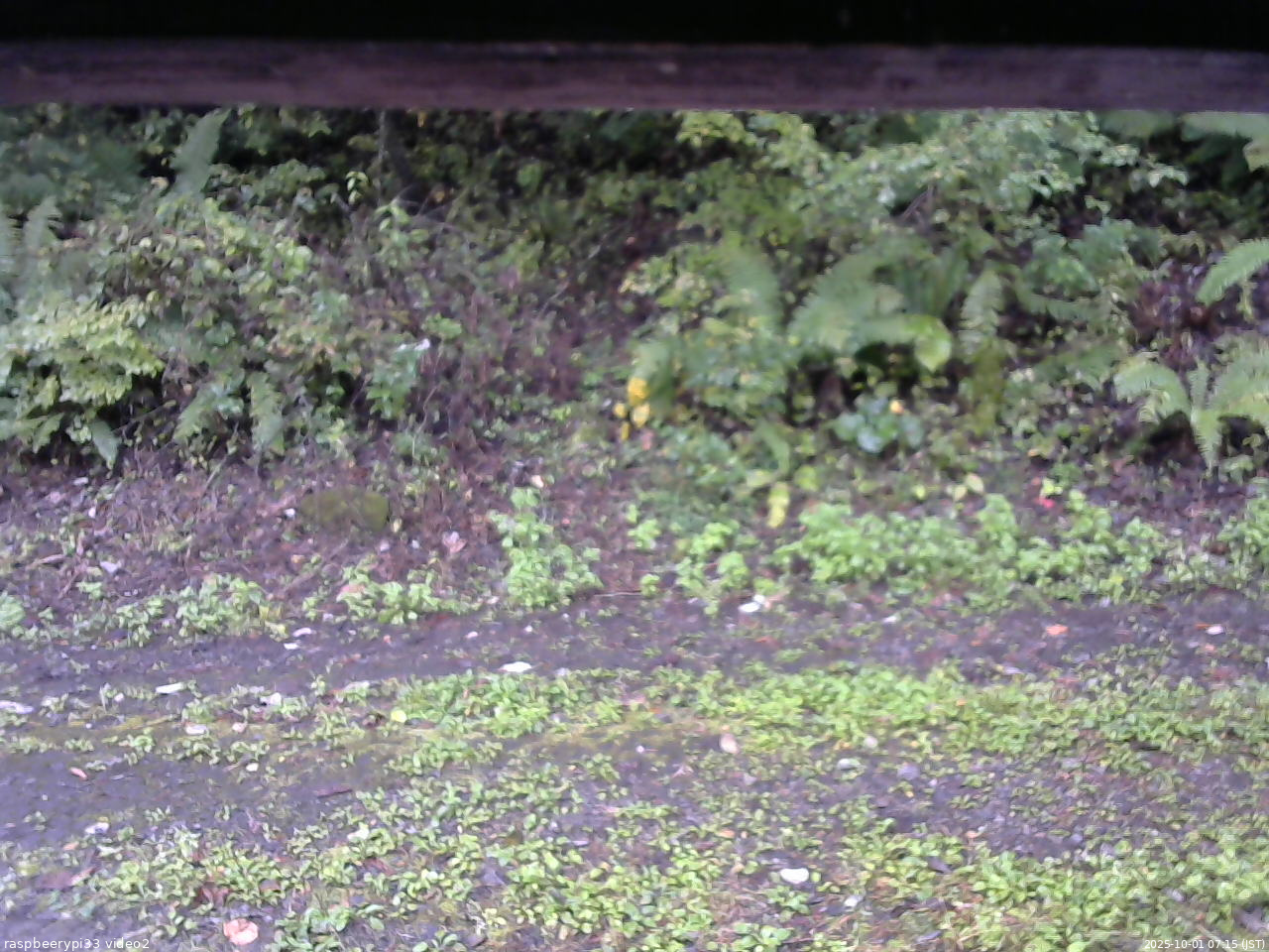 長野県菅平高原 ゆたか山荘 南側 2025/10/01 07:15