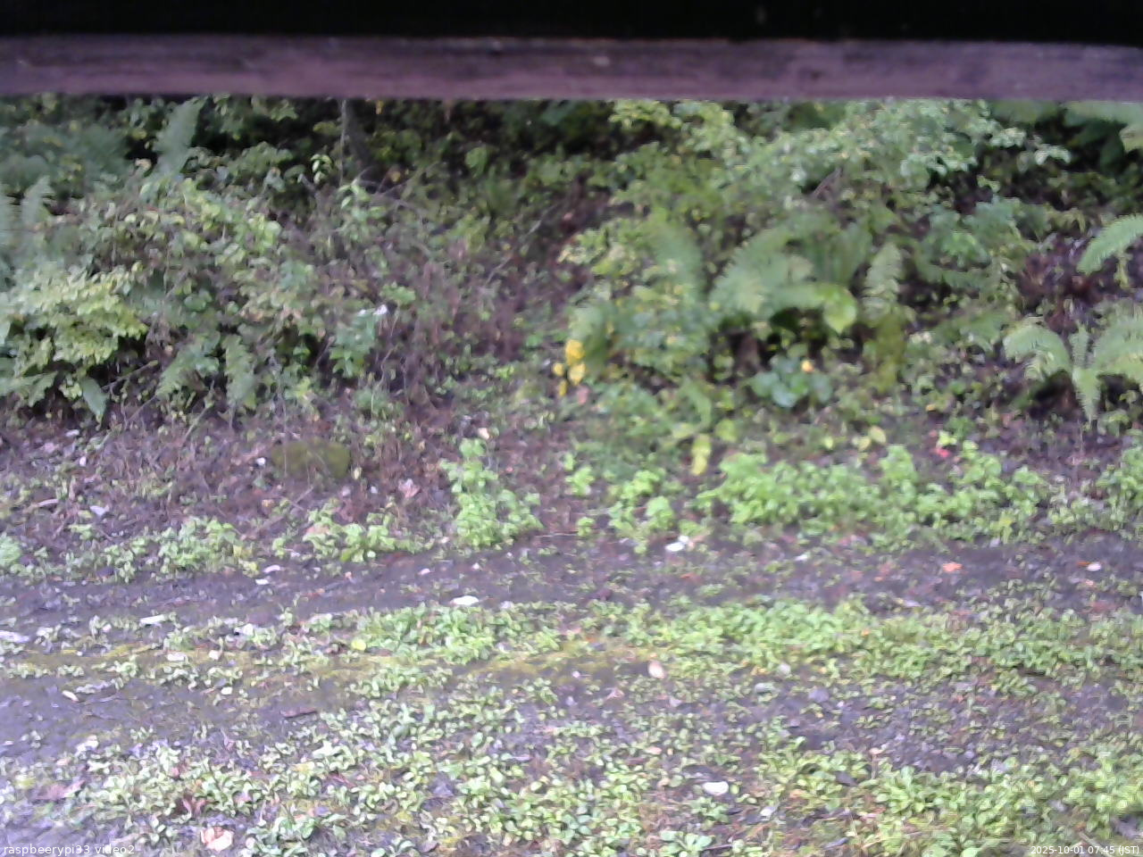 長野県菅平高原 ゆたか山荘 南側 2025/10/01 07:45