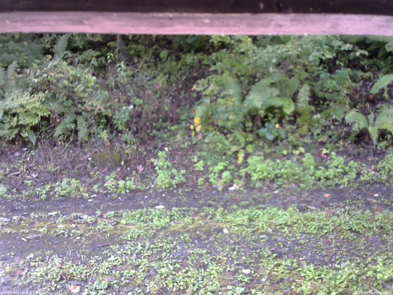 長野県菅平高原 ゆたか山荘 南側 2025/10/01 08:00