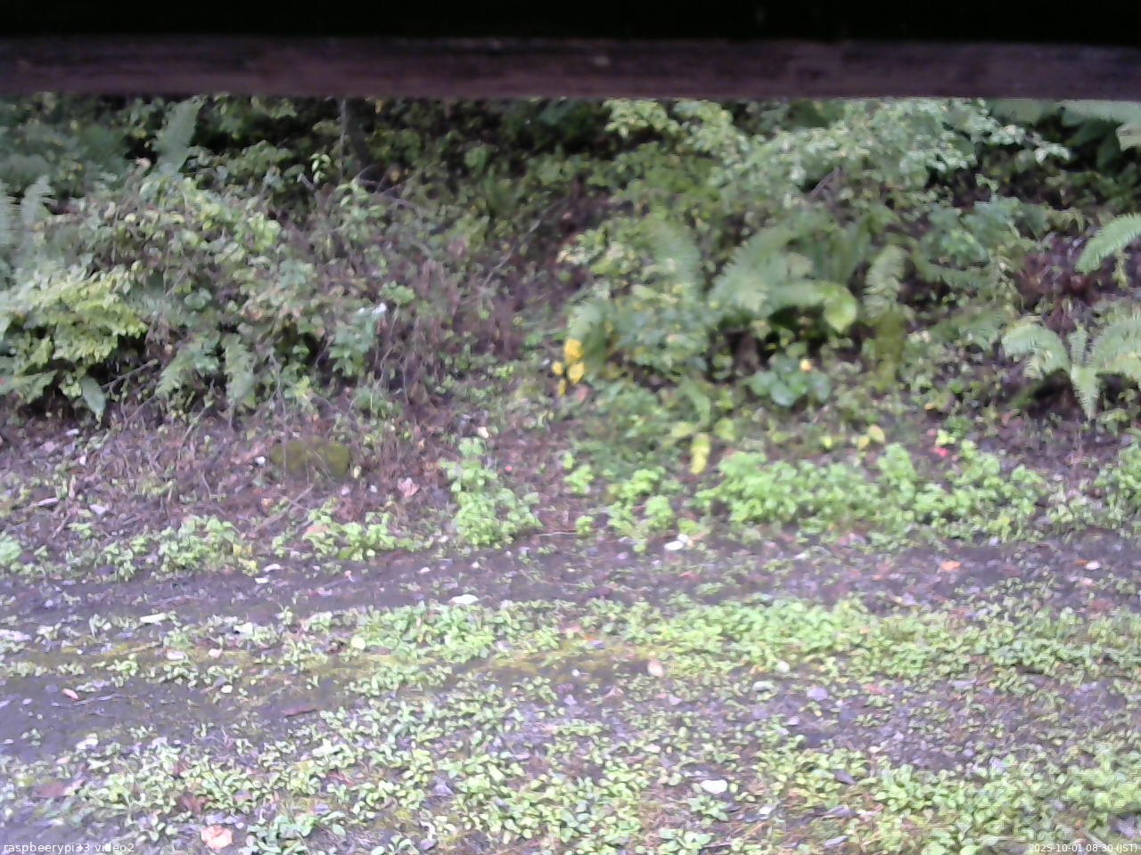 長野県菅平高原 ゆたか山荘 南側 2025/10/01 08:30