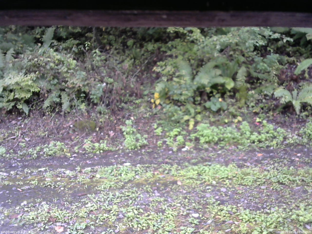 長野県菅平高原 ゆたか山荘 南側 2025/10/01 09:00