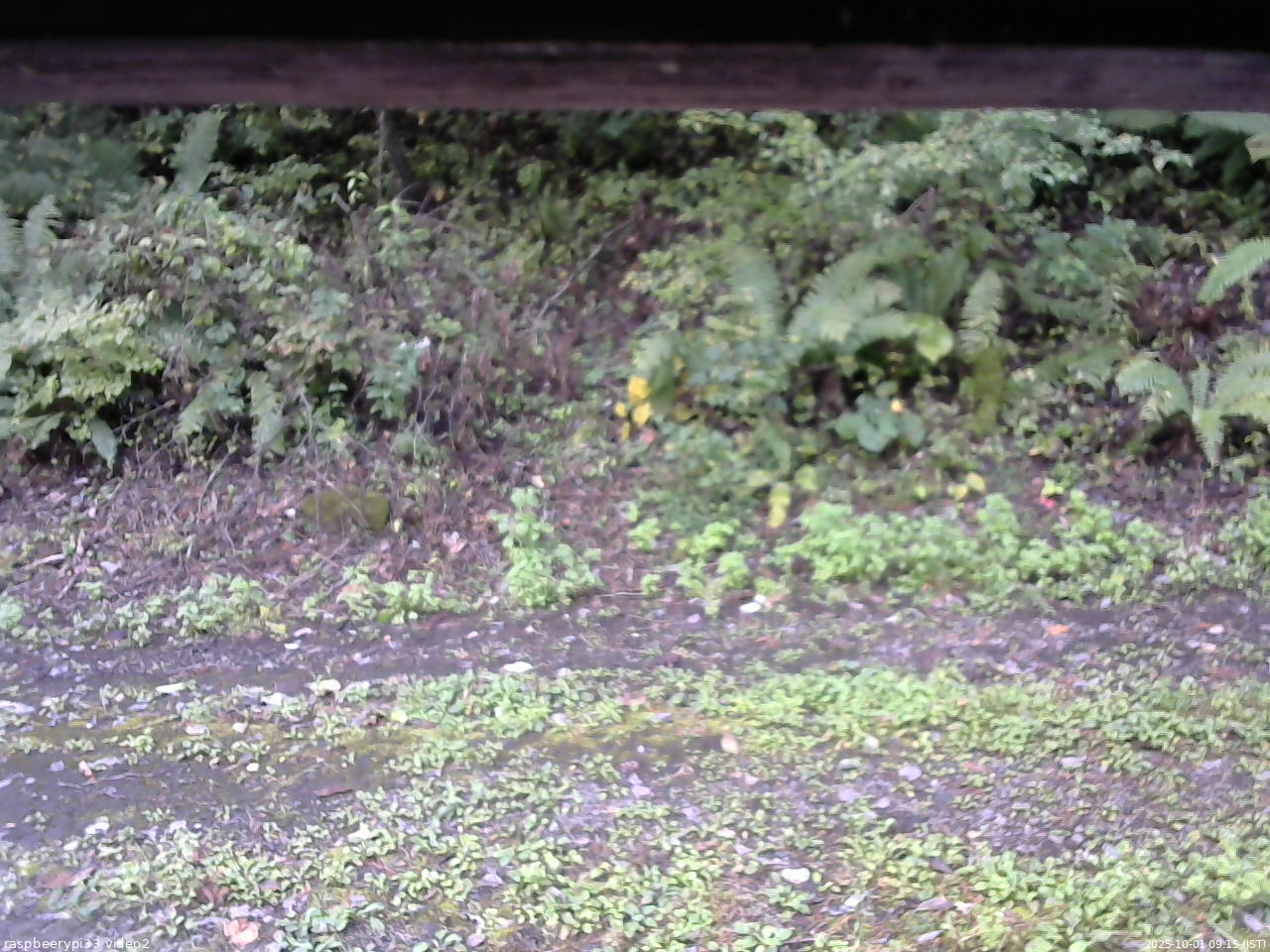 長野県菅平高原 ゆたか山荘 南側 2025/10/01 09:15