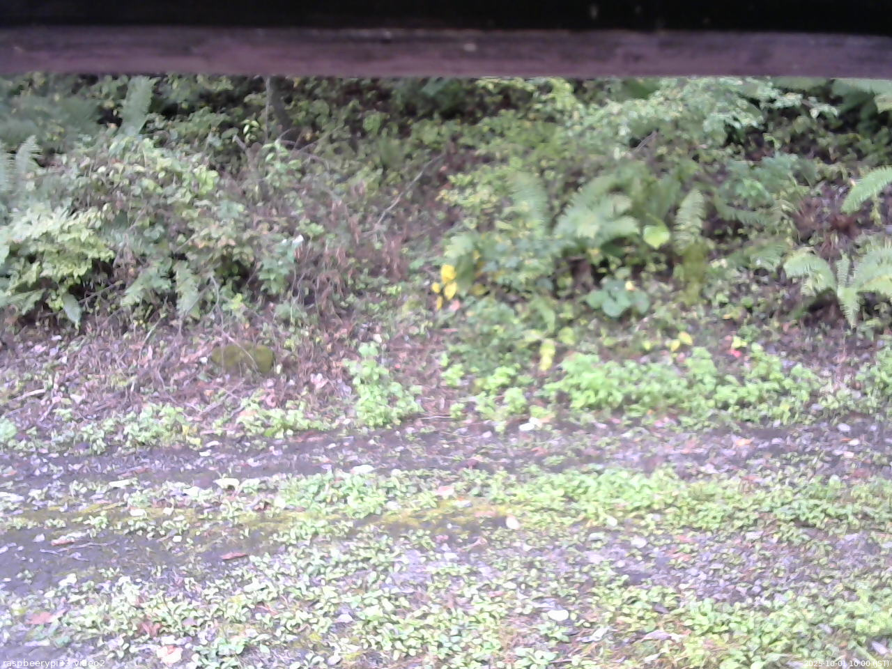 長野県菅平高原 ゆたか山荘 南側 2025/10/01 10:00