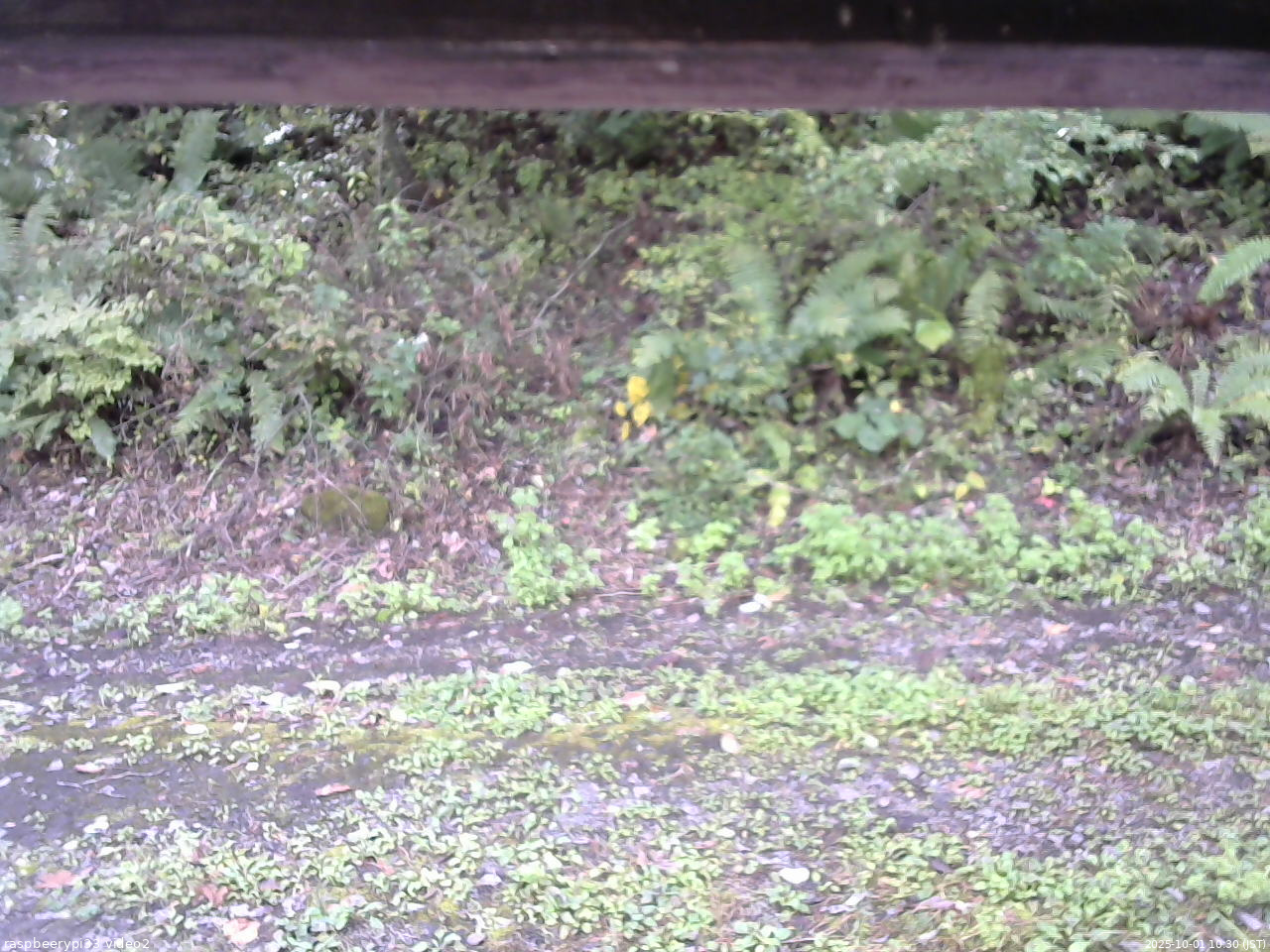 長野県菅平高原 ゆたか山荘 南側 2025/10/01 10:30