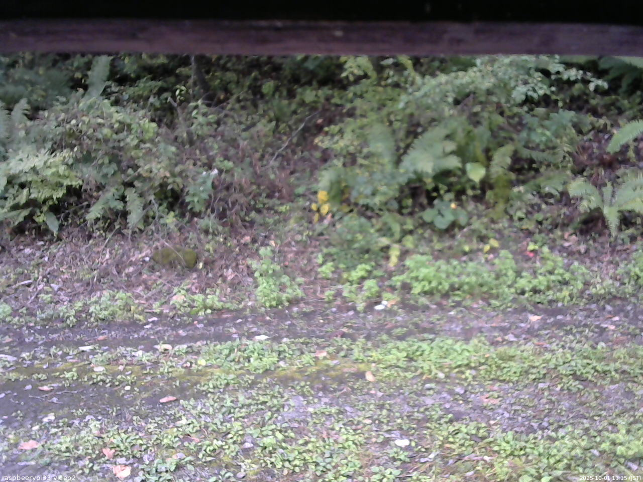 長野県菅平高原 ゆたか山荘 南側 2025/10/01 11:15