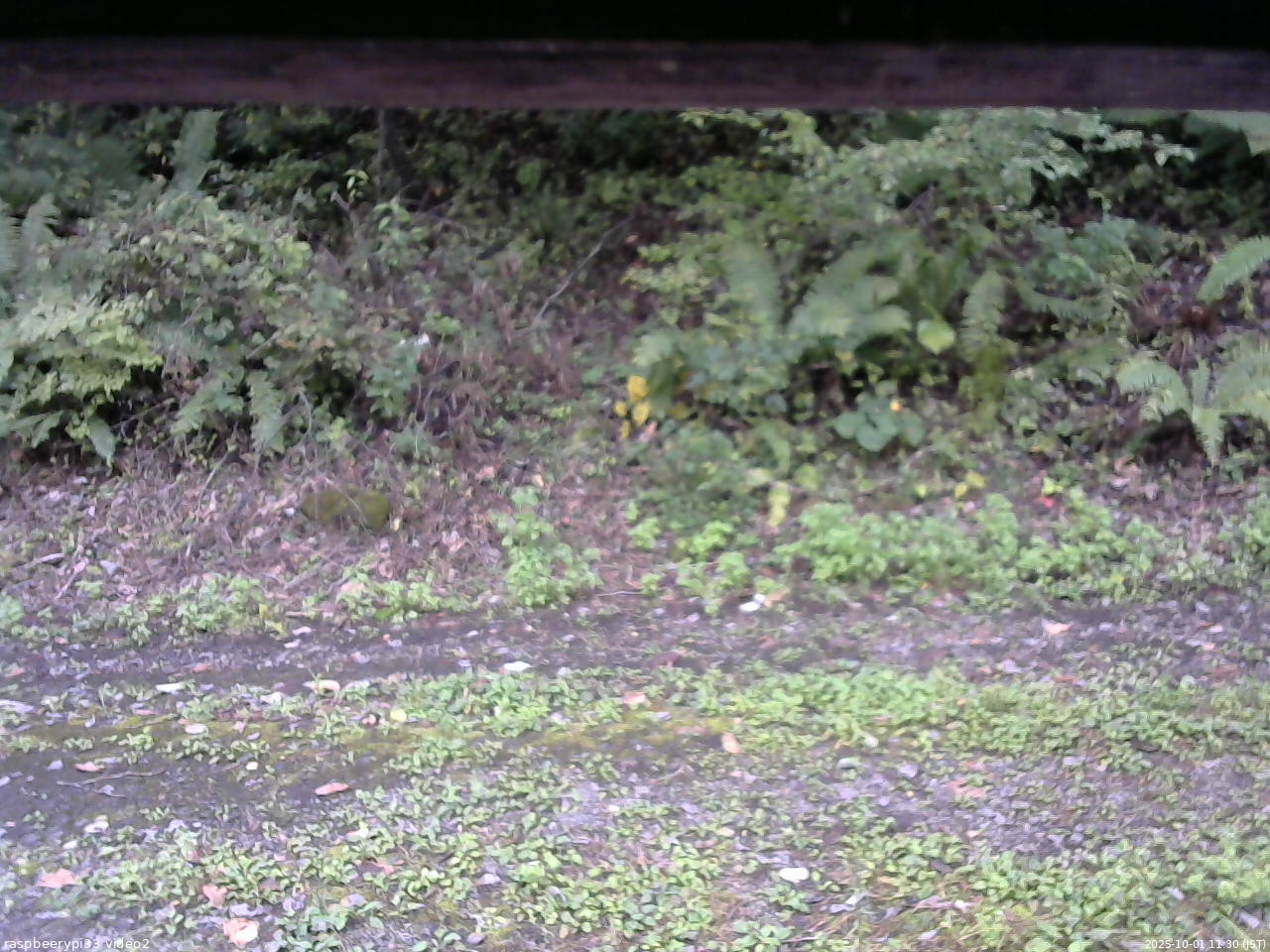長野県菅平高原 ゆたか山荘 南側 2025/10/01 11:30