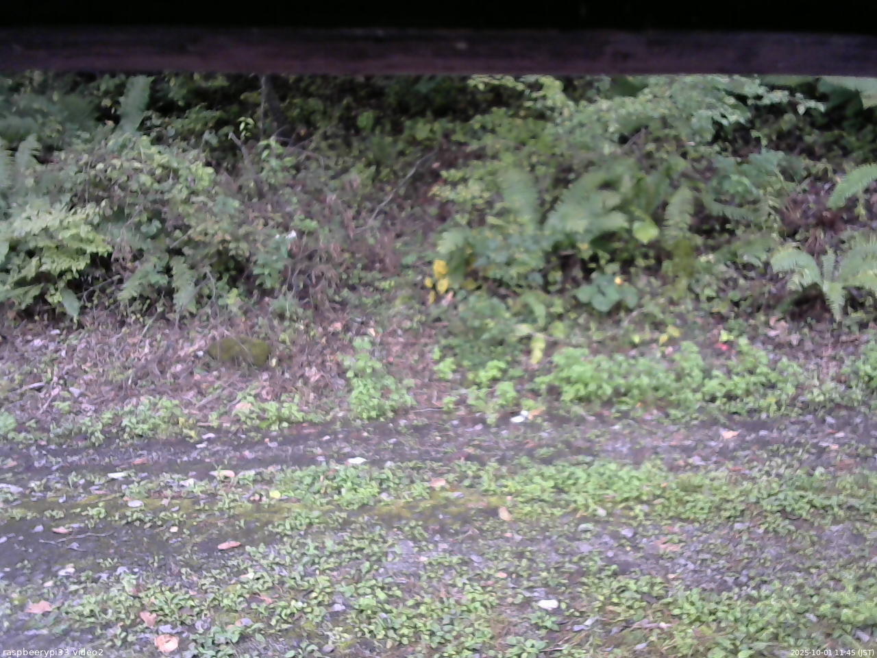 長野県菅平高原 ゆたか山荘 南側 2025/10/01 11:45