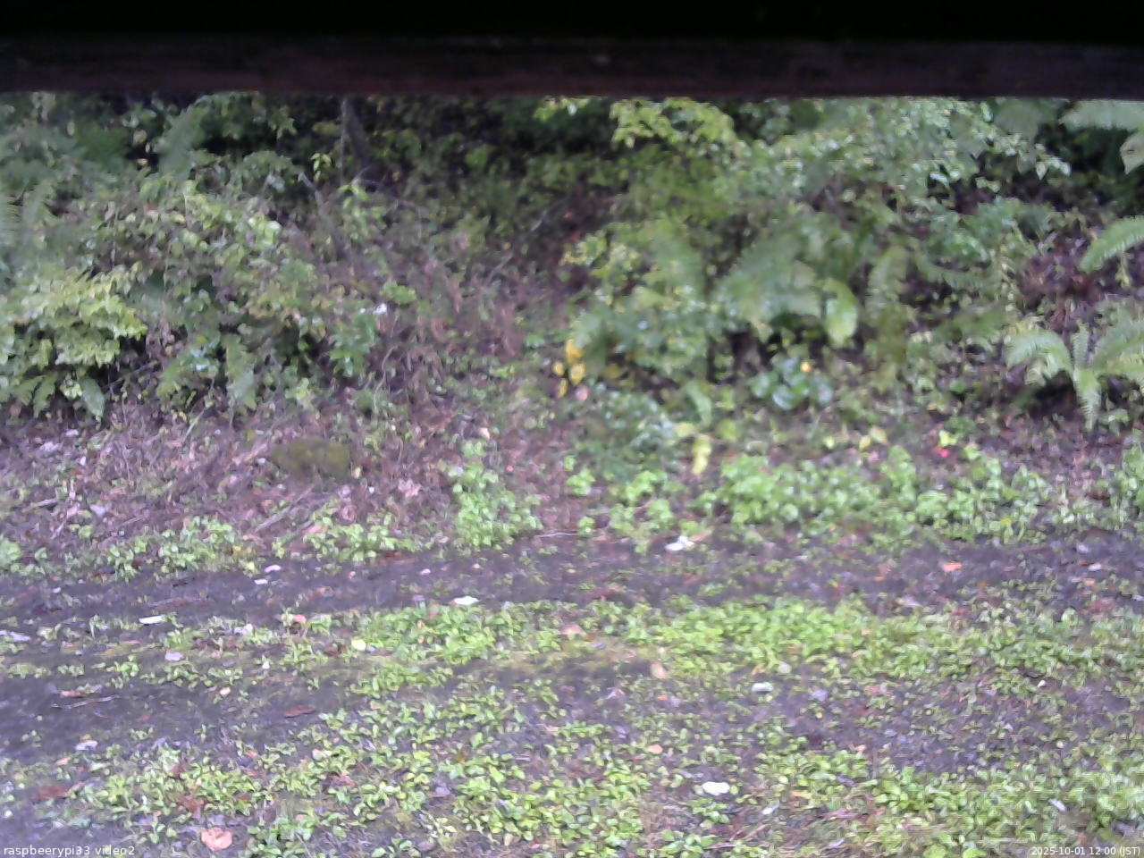 長野県菅平高原 ゆたか山荘 南側 2025/10/01 12:00