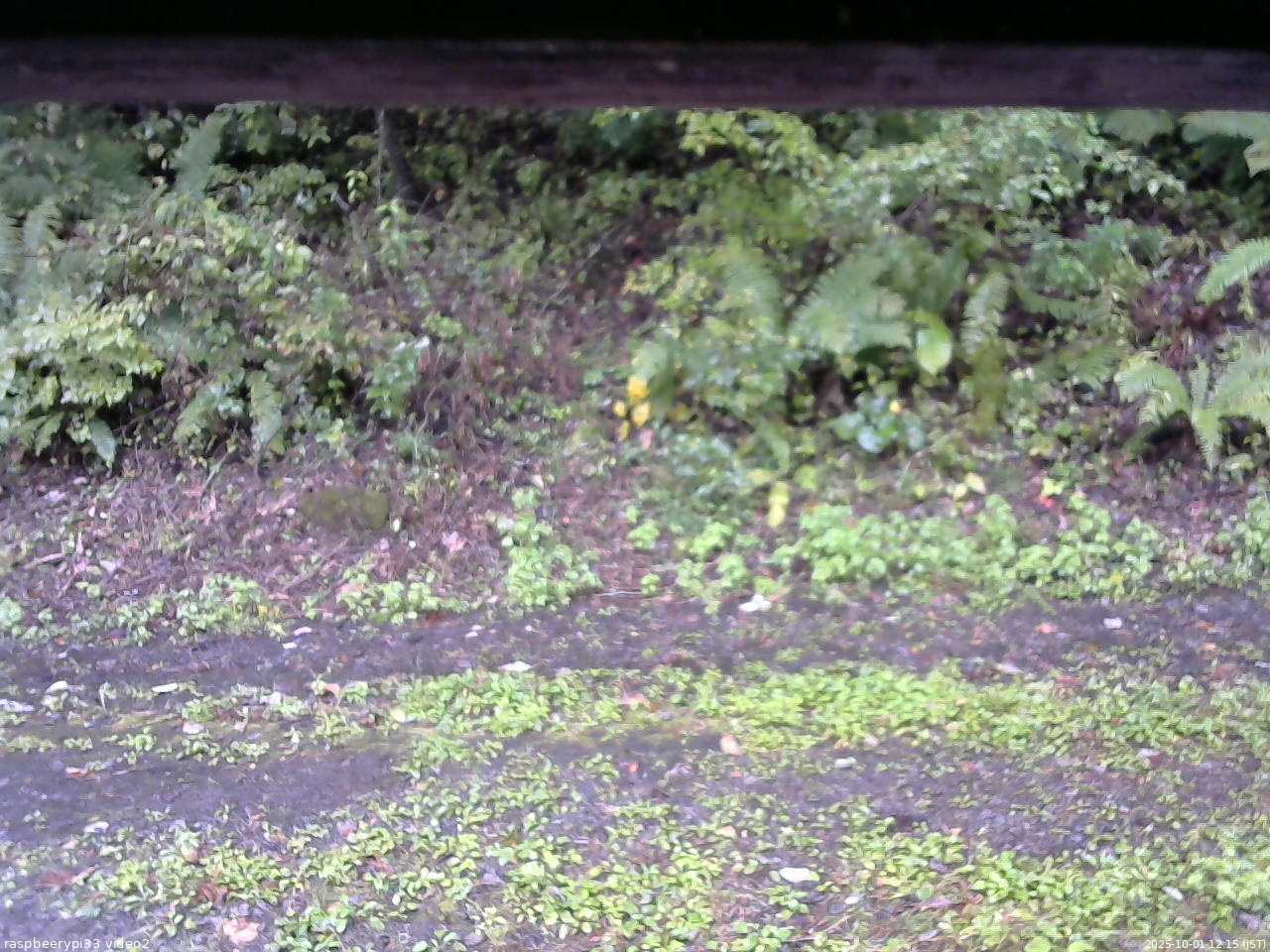 長野県菅平高原 ゆたか山荘 南側 2025/10/01 12:15
