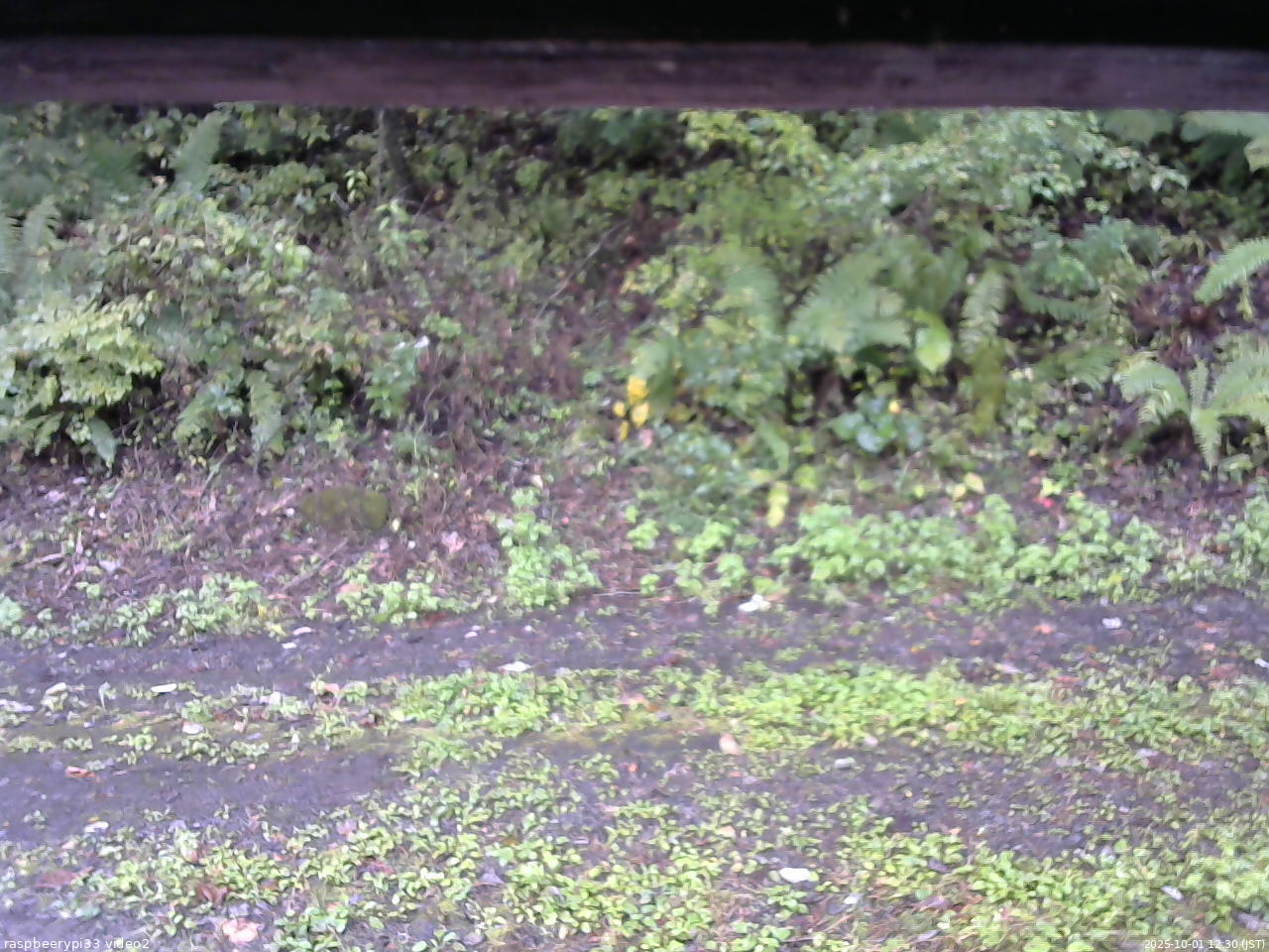 長野県菅平高原 ゆたか山荘 南側 2025/10/01 12:30