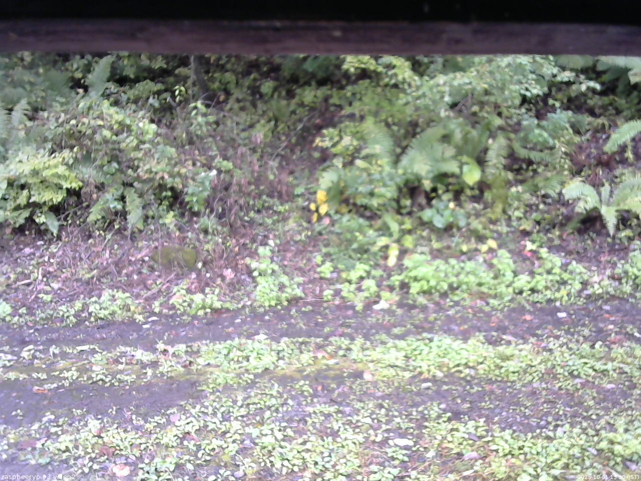 長野県菅平高原 ゆたか山荘 南側 2025/10/01 13:30