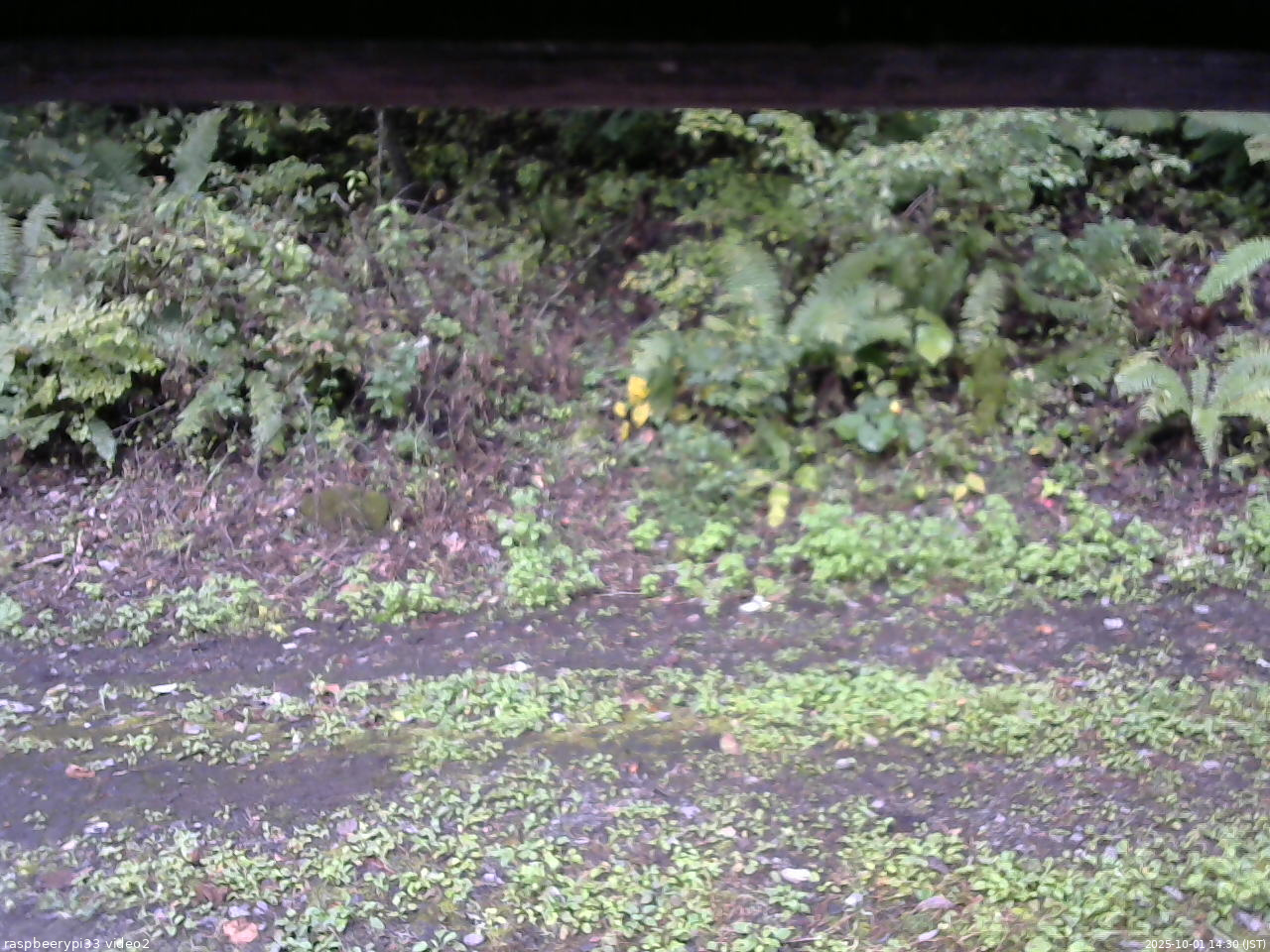 長野県菅平高原 ゆたか山荘 南側 2025/10/01 14:30