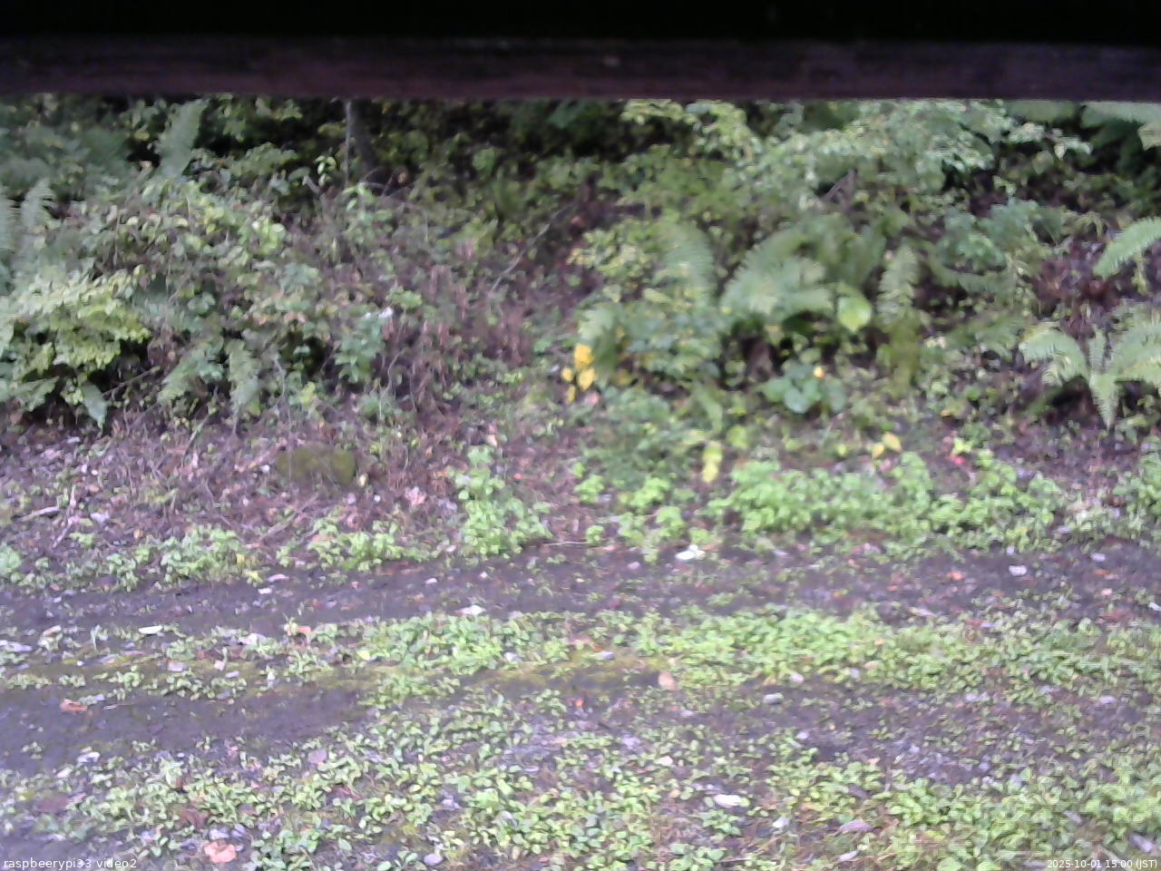 長野県菅平高原 ゆたか山荘 南側 2025/10/01 15:00