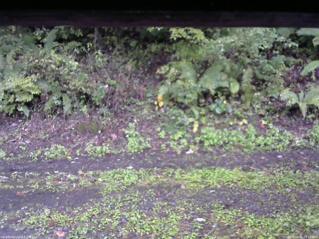 長野県菅平高原 ゆたか山荘 南側 2025/10/01 15:15