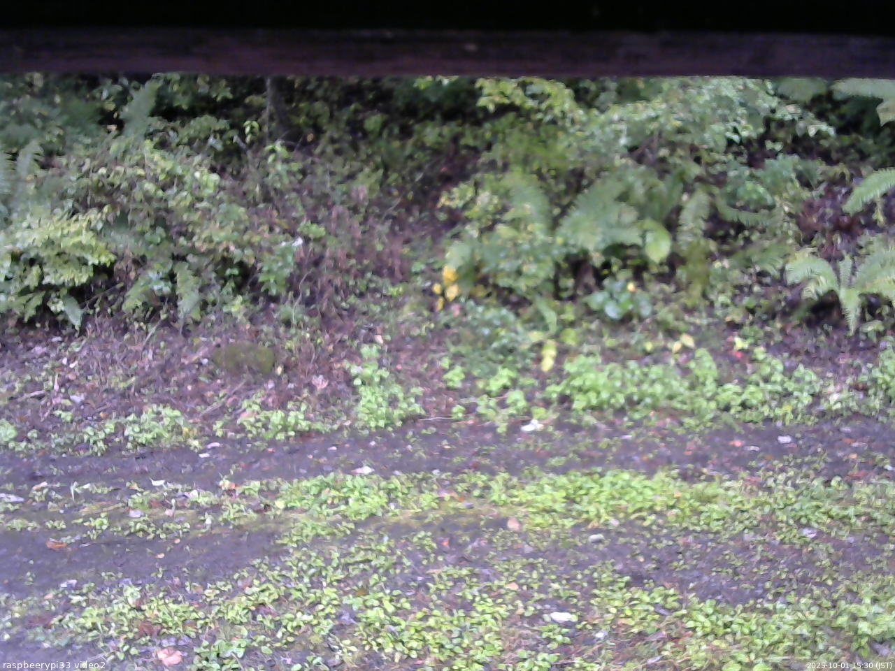 長野県菅平高原 ゆたか山荘 南側 2025/10/01 15:30