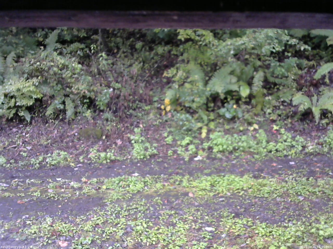 長野県菅平高原 ゆたか山荘 南側 2025/10/01 15:45