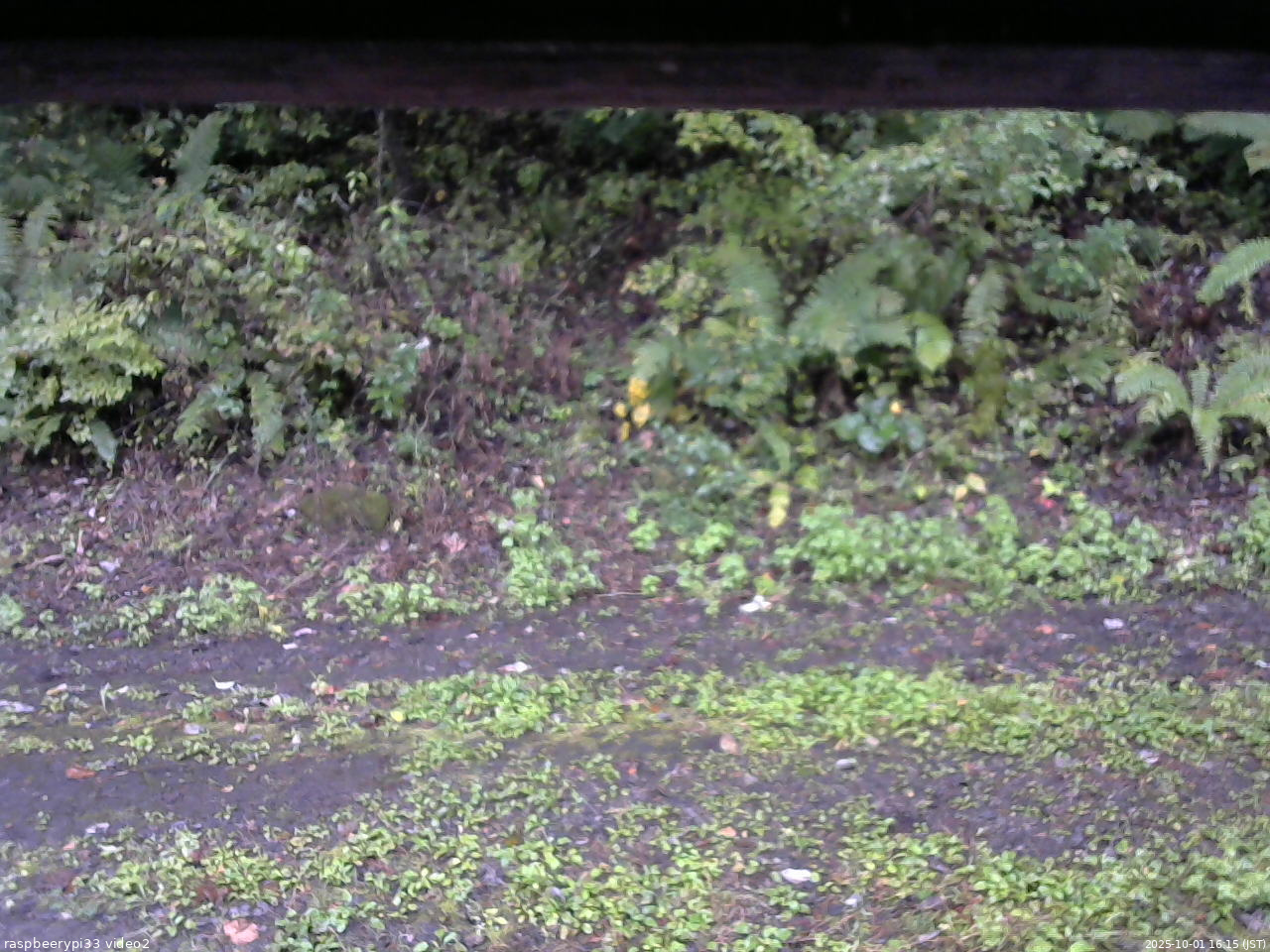 長野県菅平高原 ゆたか山荘 南側 2025/10/01 16:15