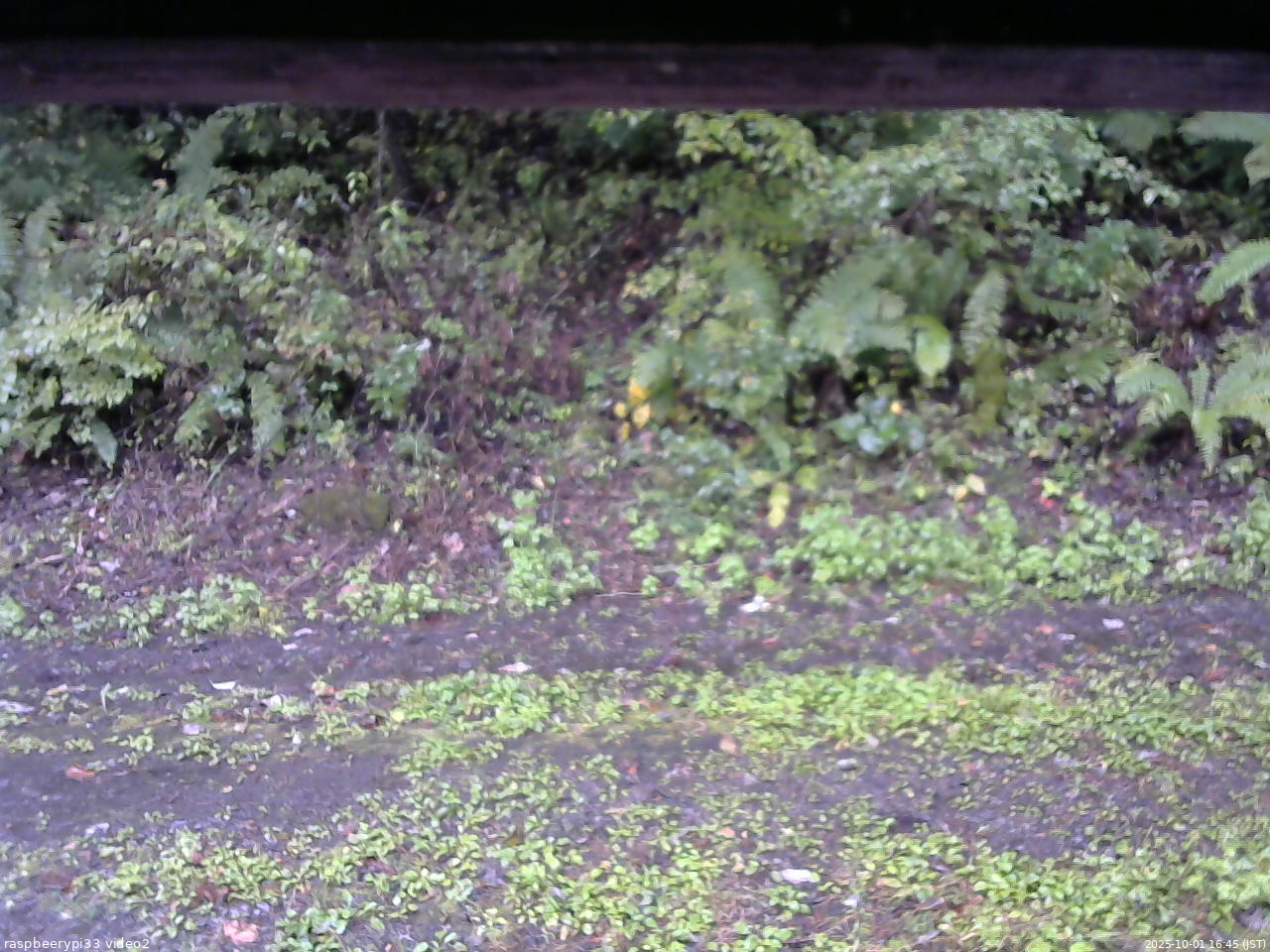 長野県菅平高原 ゆたか山荘 南側 2025/10/01 16:45
