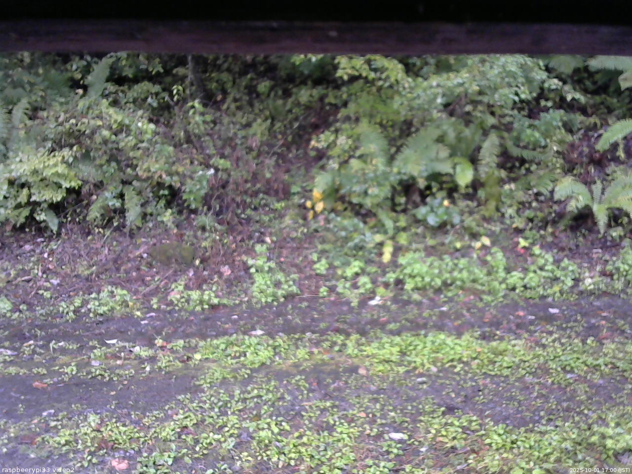 長野県菅平高原 ゆたか山荘 南側 2025/10/01 17:00