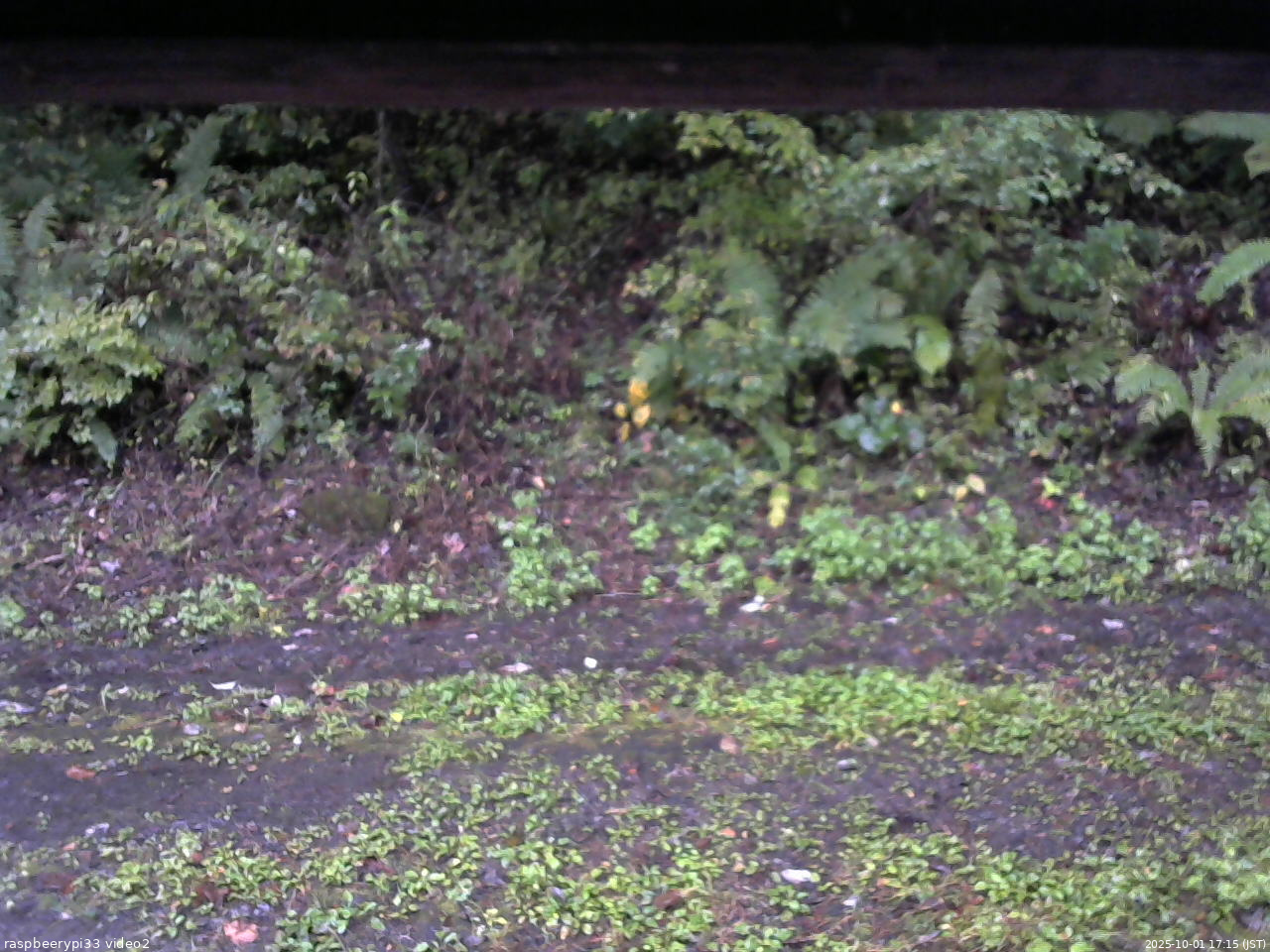 長野県菅平高原 ゆたか山荘 南側 2025/10/01 17:15