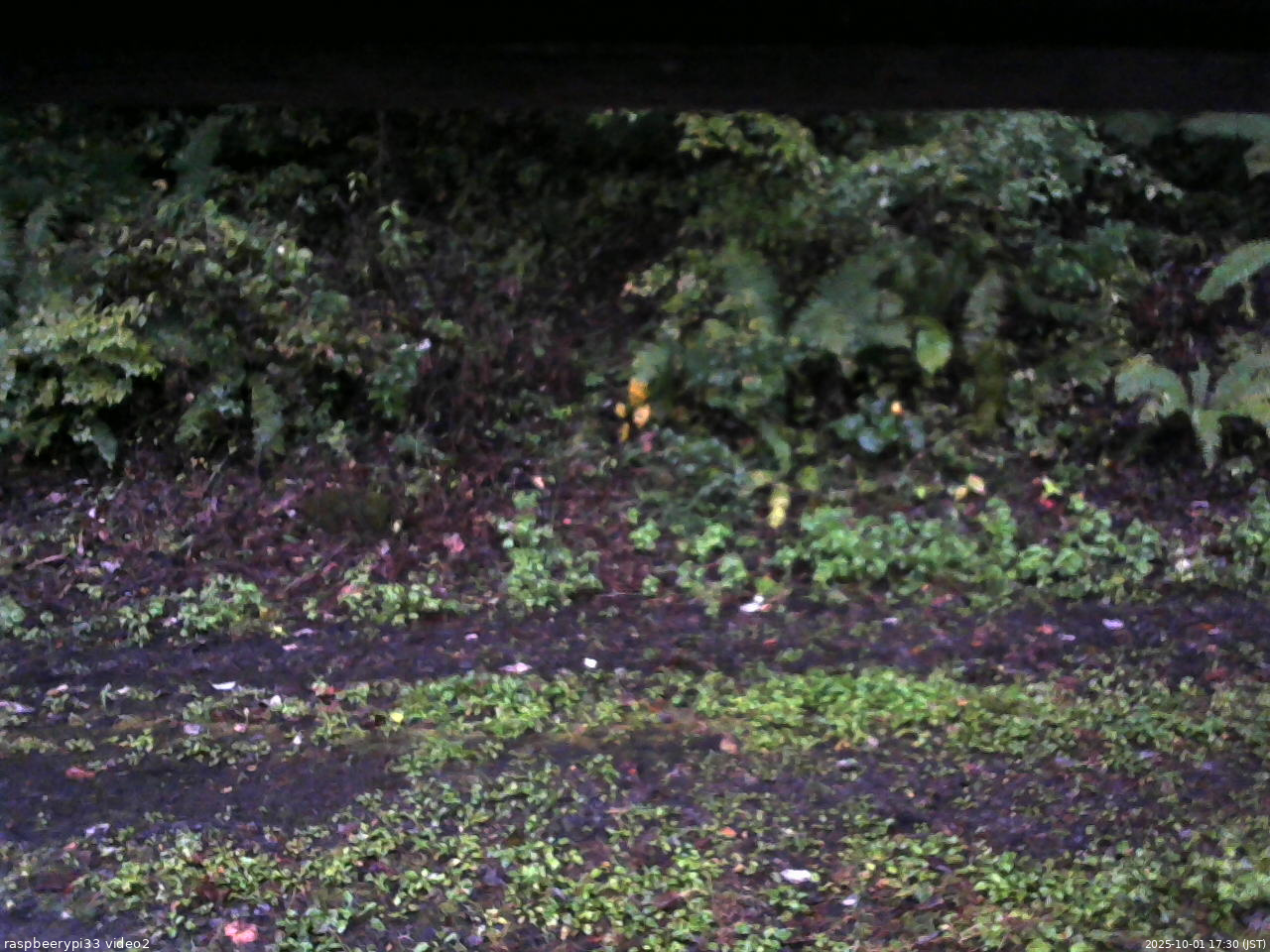 長野県菅平高原 ゆたか山荘 南側 2025/10/01 17:30