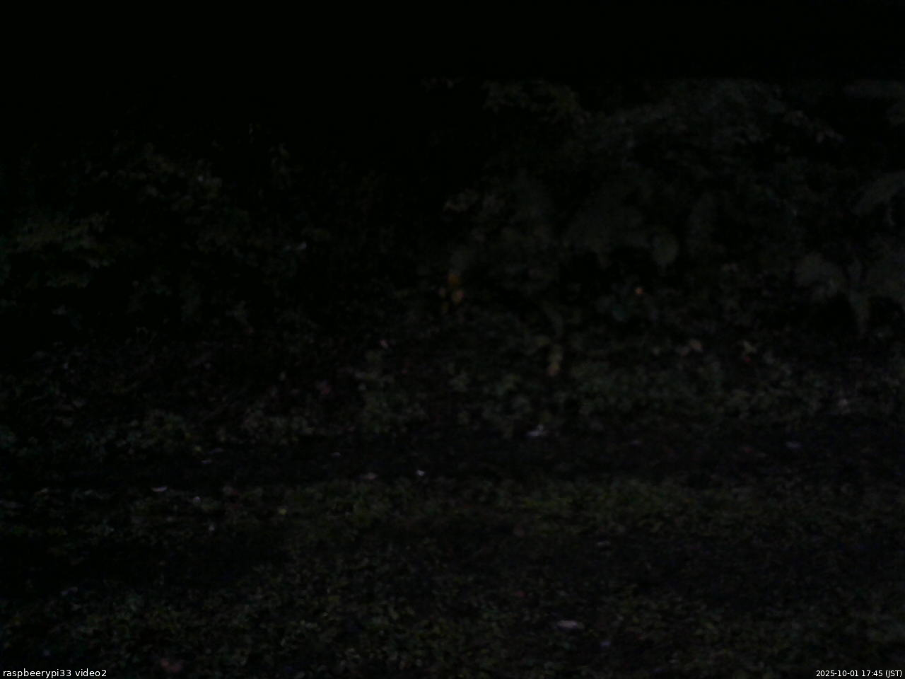 長野県菅平高原 ゆたか山荘 南側 2025/10/01 17:45