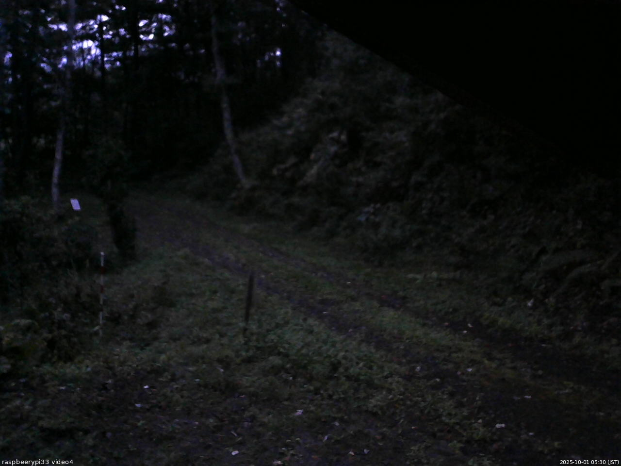長野県菅平高原 ゆたか山荘 東側(坂下) 2025/10/01 05:30