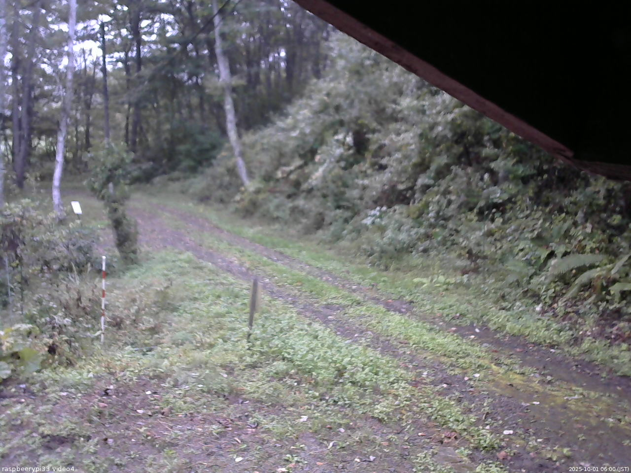 長野県菅平高原 ゆたか山荘 東側(坂下) 2025/10/01 06:00