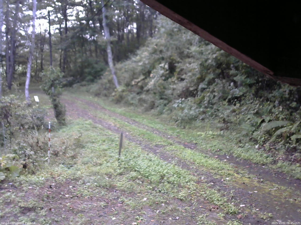 長野県菅平高原 ゆたか山荘 東側(坂下) 2025/10/01 06:45