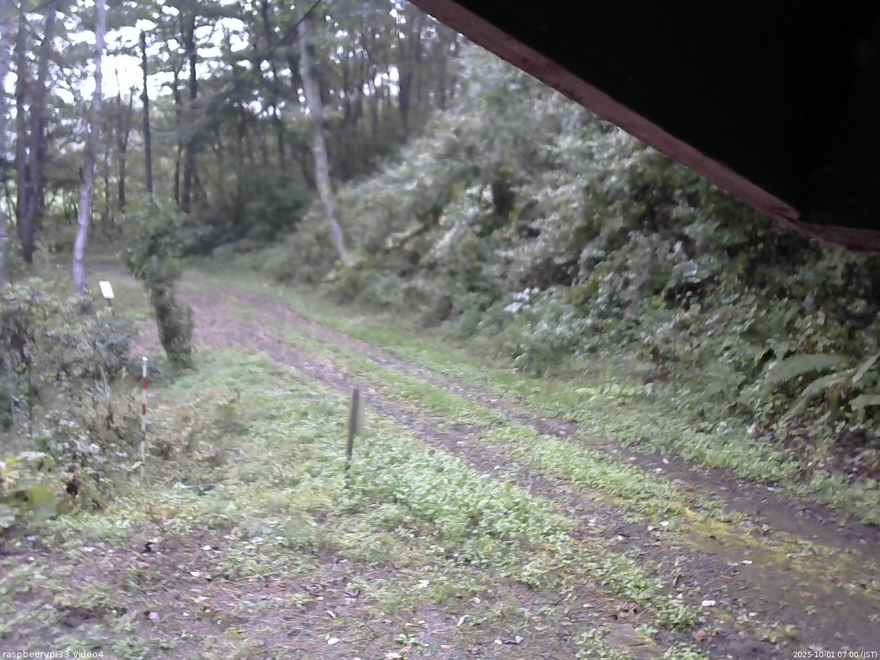 長野県菅平高原 ゆたか山荘 東側(坂下) 2025/10/01 07:00
