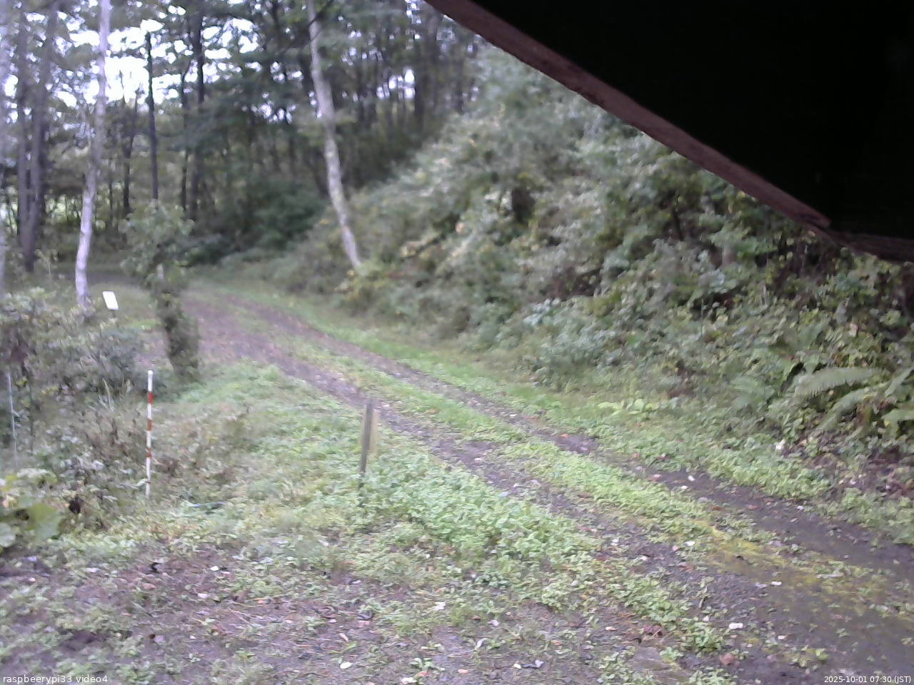 長野県菅平高原 ゆたか山荘 東側(坂下) 2025/10/01 07:30