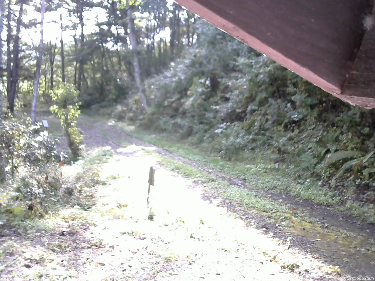 長野県菅平高原 ゆたか山荘 東側(坂下) 2025/10/01 08:00