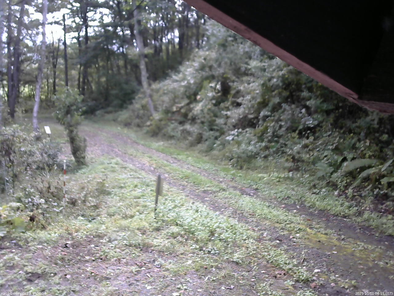 長野県菅平高原 ゆたか山荘 東側(坂下) 2025/10/01 08:15