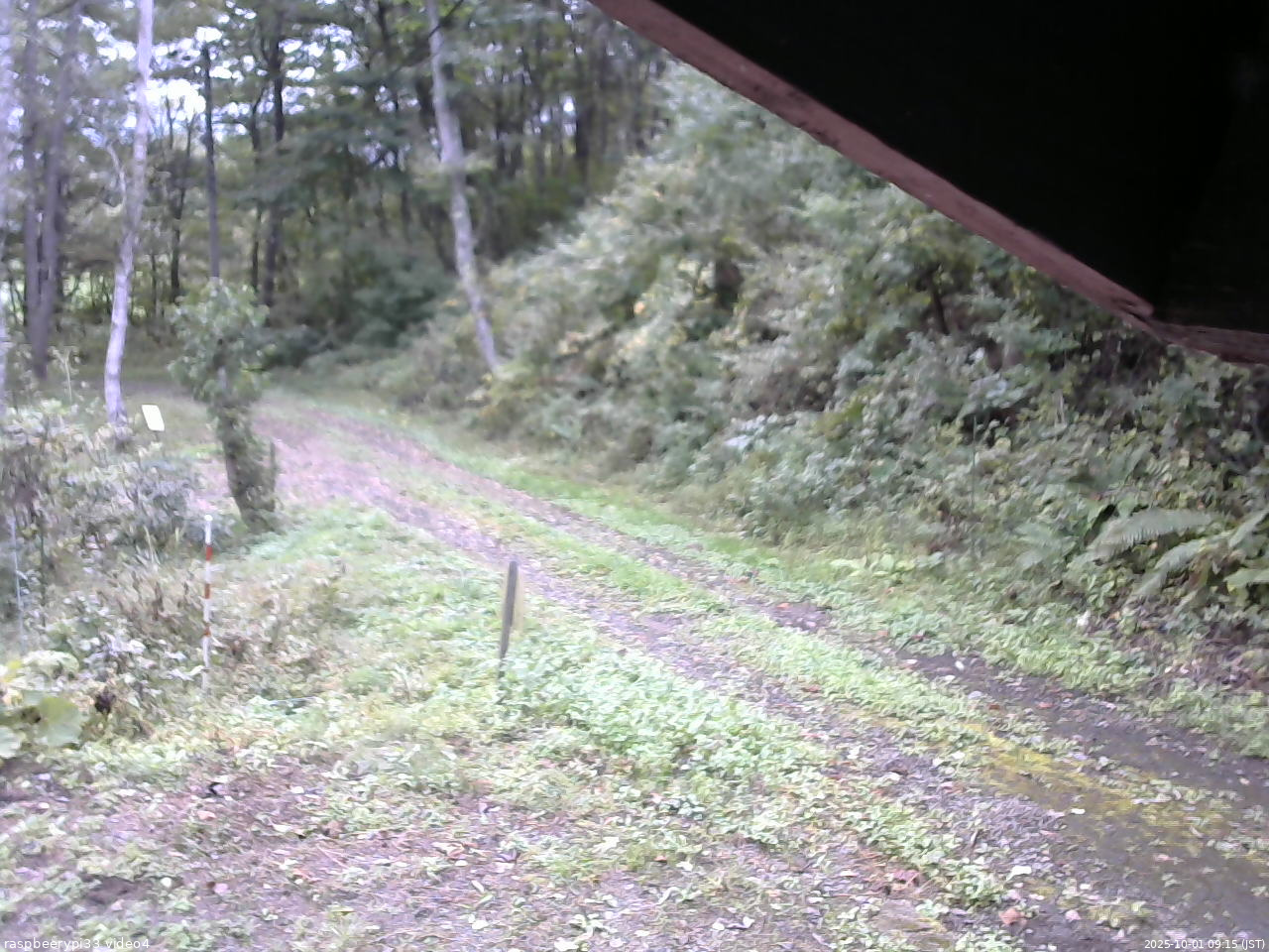 長野県菅平高原 ゆたか山荘 東側(坂下) 2025/10/01 09:15