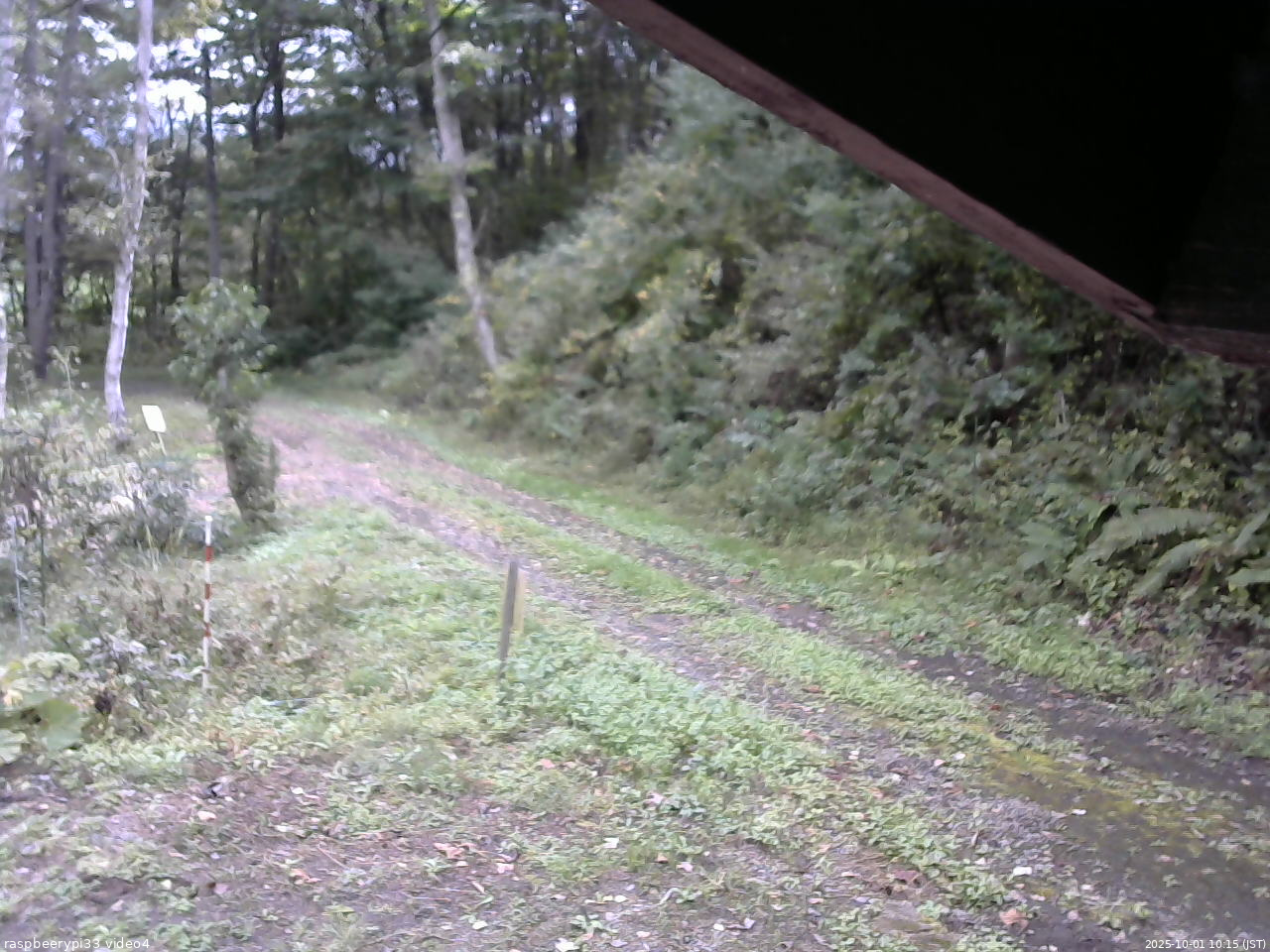 長野県菅平高原 ゆたか山荘 東側(坂下) 2025/10/01 10:15