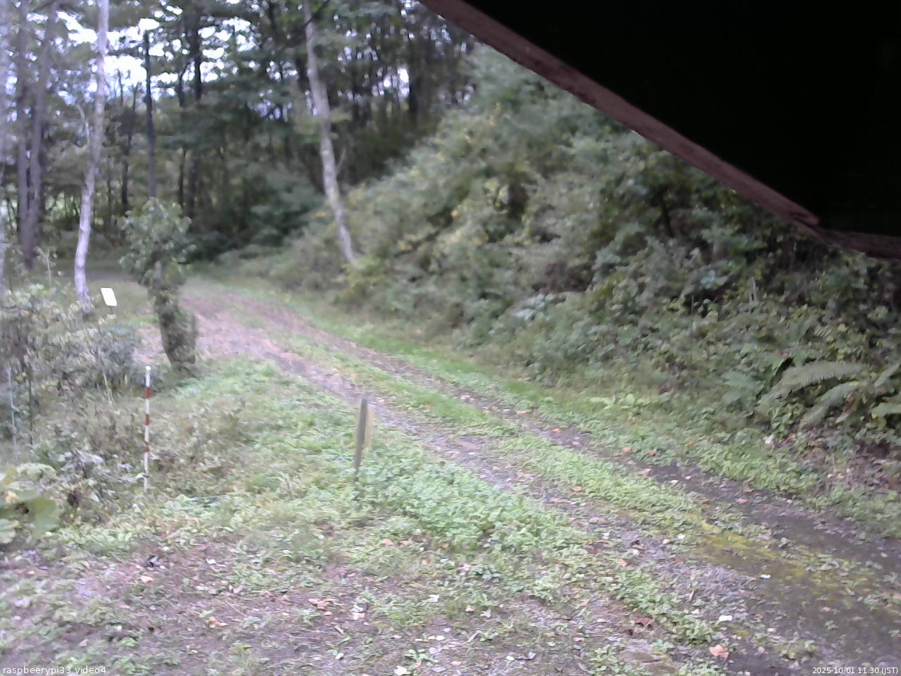 長野県菅平高原 ゆたか山荘 東側(坂下) 2025/10/01 11:30