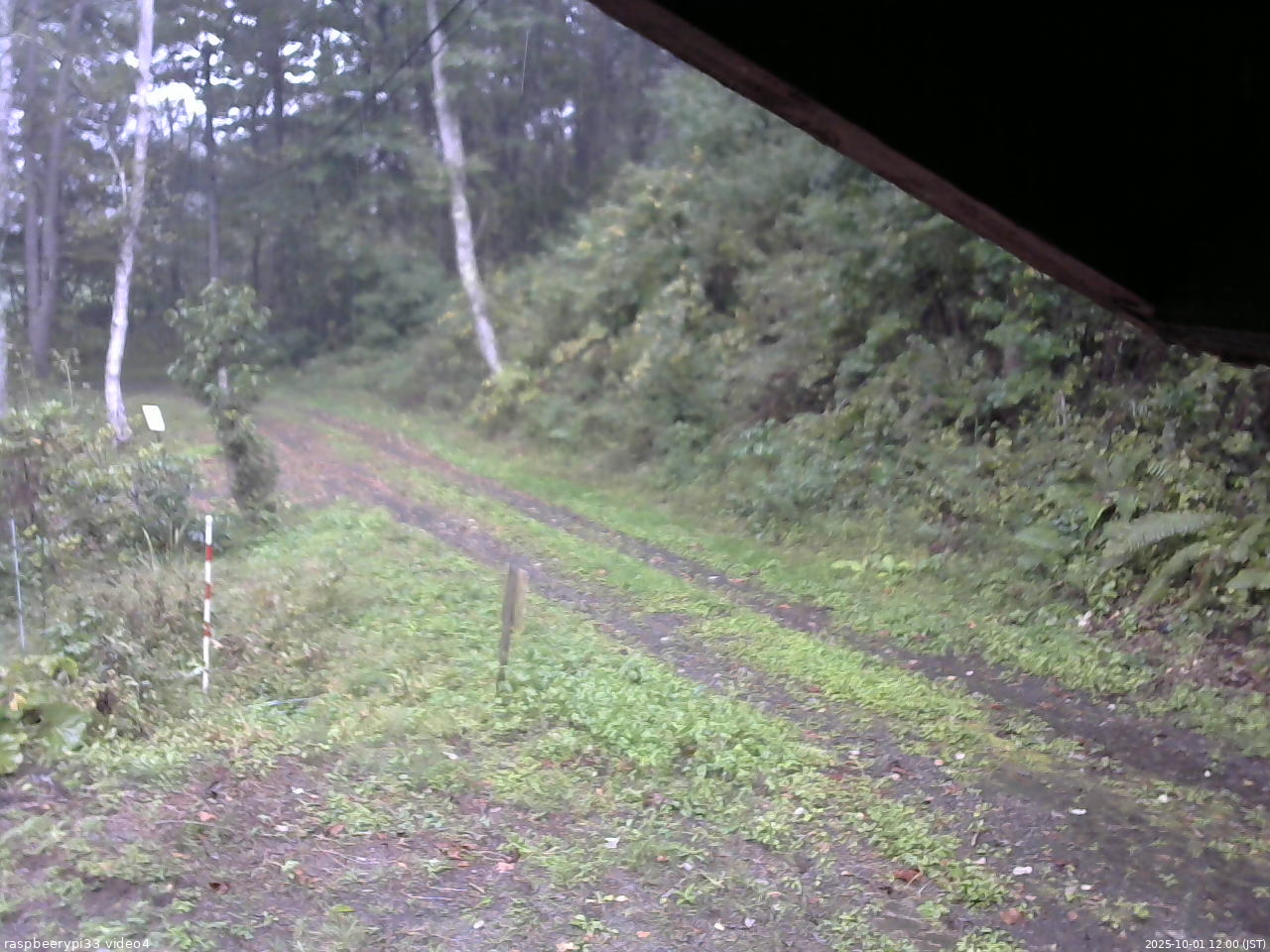 長野県菅平高原 ゆたか山荘 東側(坂下) 2025/10/01 12:00
