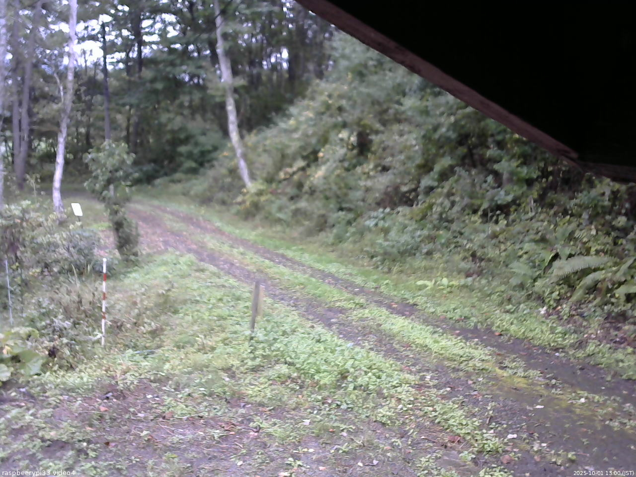 長野県菅平高原 ゆたか山荘 東側(坂下) 2025/10/01 13:00