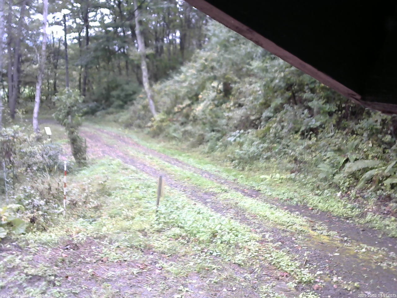 長野県菅平高原 ゆたか山荘 東側(坂下) 2025/10/01 13:15