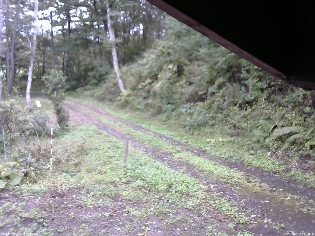長野県菅平高原 ゆたか山荘 東側(坂下) 2025/10/01 13:45