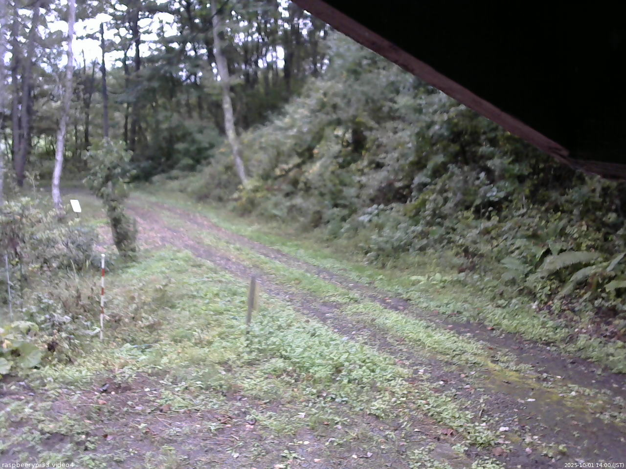 長野県菅平高原 ゆたか山荘 東側(坂下) 2025/10/01 14:00