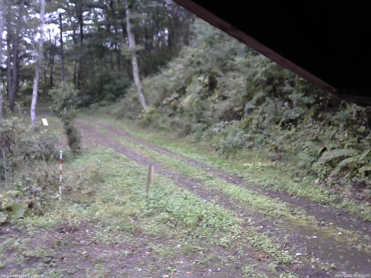 長野県菅平高原 ゆたか山荘 東側(坂下) 2025/10/01 15:00