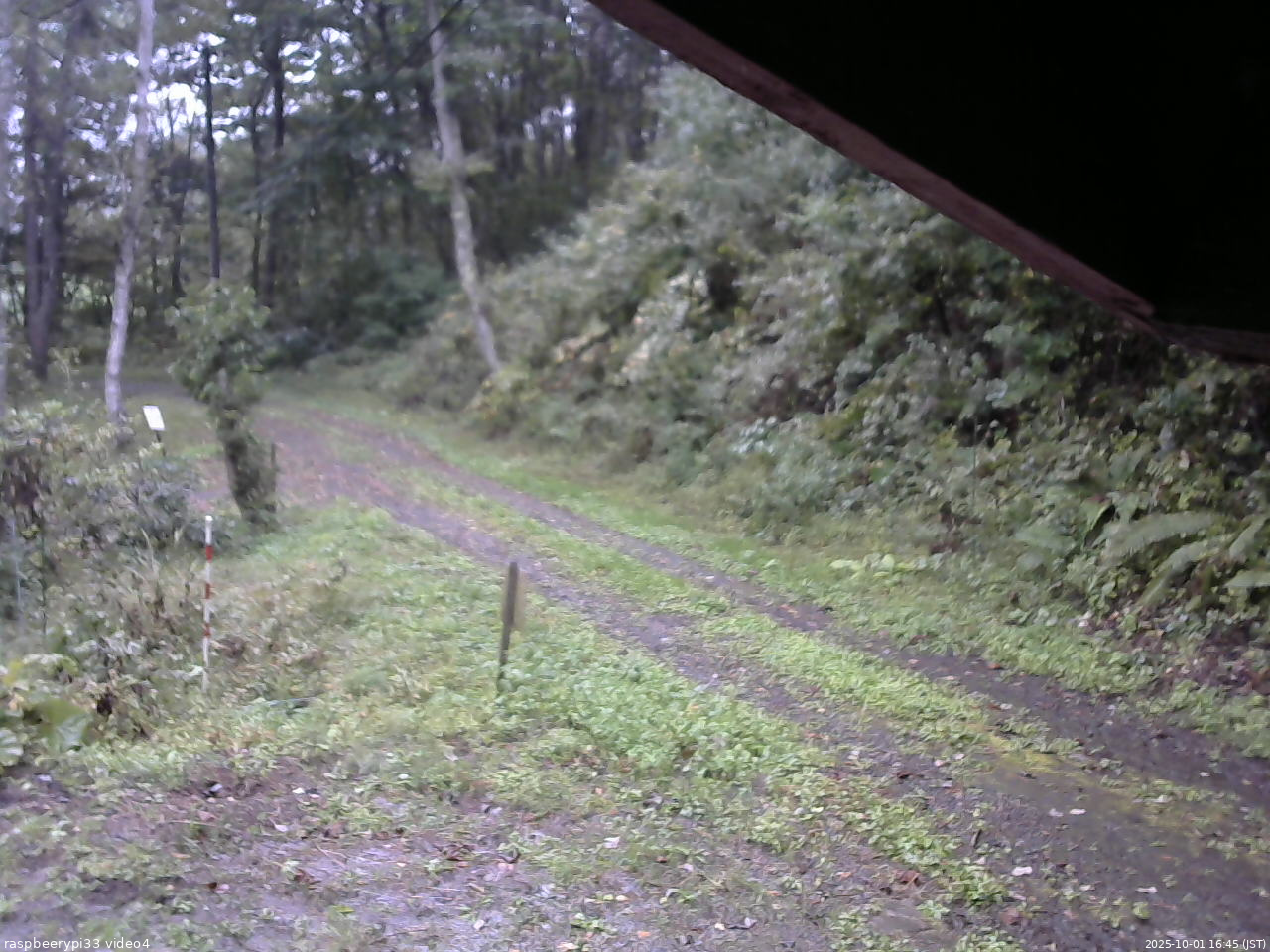長野県菅平高原 ゆたか山荘 東側(坂下) 2025/10/01 16:45