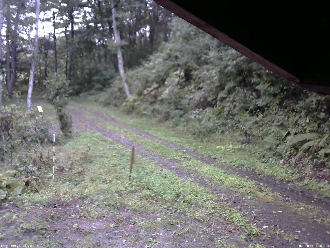 長野県菅平高原 ゆたか山荘 東側(坂下) 2025/10/01 17:00