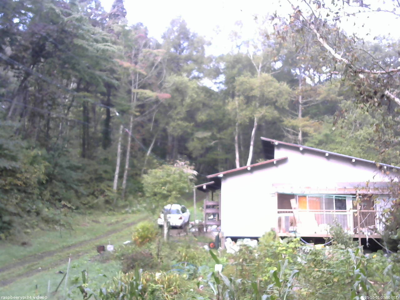 長野県菅平高原 ゆたか山荘 西側(坂上) 2025/10/01 07:00